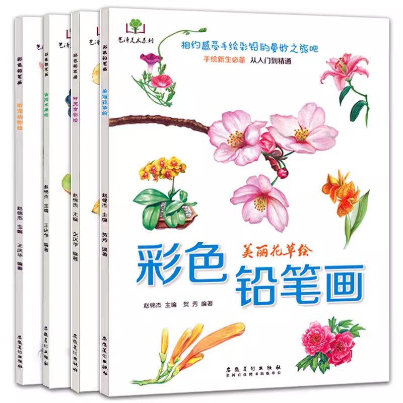 Food And Snacks Coloring Book Bold And Easy - 色鉛筆着色ブック、花、食品、果物、動物、ゼロベースの学習、絵画ブック、アートスケッチ、描画チュートリアル